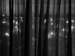 宗教施設での心霊体験