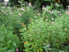 異なった世界のスイッチ