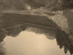 迷い込んだ農家