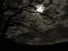 肝試しから戻らない7人