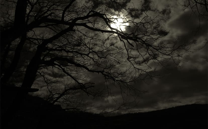 dark_night_by_rad_wulf-d5xx0pd