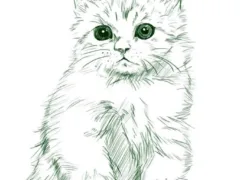 愛猫の最後の挨拶