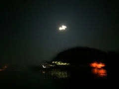 なんで逃げちゃったの