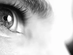 犯罪者識別能力