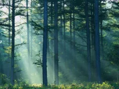 不思議なお姉さん