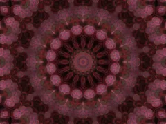 魂の年齢 – 輪廻転生について –