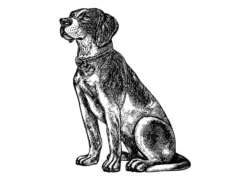 じじ犬との会話