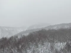 大型トラックの男性