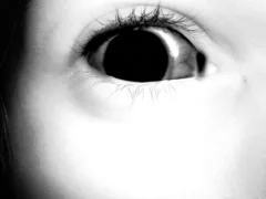 しゃべれるんだな