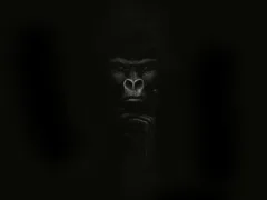 娘が連れて行かれそうになった話