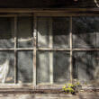 廃屋の窓（フリー写真）