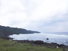 浜辺で踊るモノ