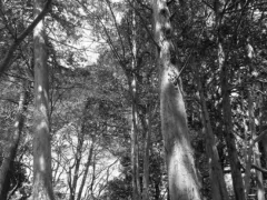 お姉ちゃんと鬼ごっこ