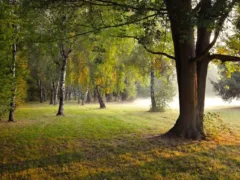 カナちゃんのメッセージ