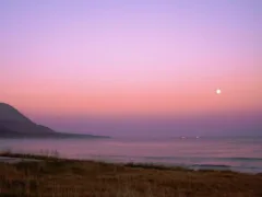 イセポ・テレケ