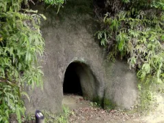 ゆうちゃんとトミー