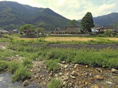 御業（ゴギョウ）様