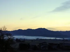 シンジラ様の歯