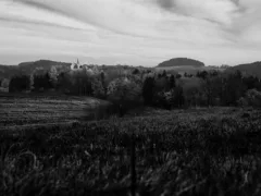 魚のおっちゃん