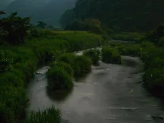 我が家に伝わる名字の由来