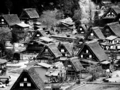 氷を買いに来る若者