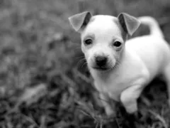 せいちゃん（従姉妹シリーズ1）