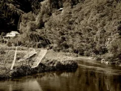 女並通り（従姉妹シリーズ2）