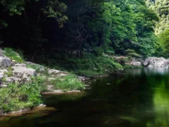 一人で泳ぐ男の子