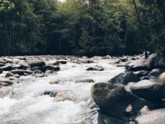 川辺で会ったおじさん