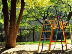 謎のおじいちゃん