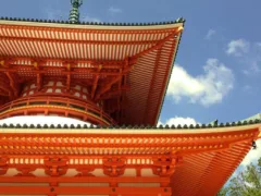 動物たちの宴会