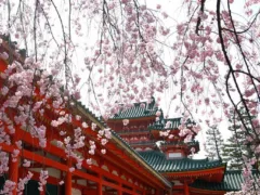 かわらけのお狐さん