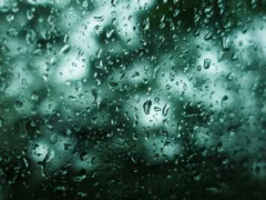 お通夜を覗く女性