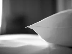 槍を持った小人