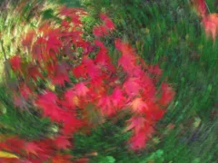 飢饉があった村（長編）