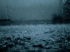 やんちゃな爺ちゃん