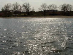 川を流れる仏壇