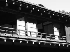 仮母女（かもめ）