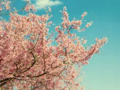 タイムカプセルの手紙