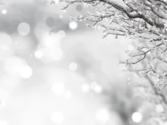 おじいさんの足音