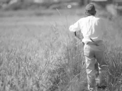 おんぶしてあげるよ