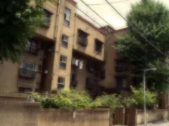 黄色いパーカー