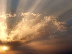 わたしの靴がないの