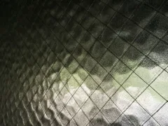 ガラス戸の向こう