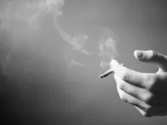 マイルドセブン