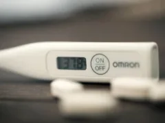 太いお姉ちゃん