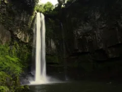 好きだった叔父さん