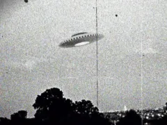 フー・ファイター