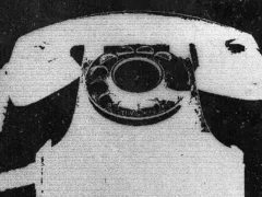 ダレモイナイヨ