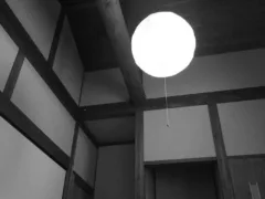 遊びに来る友達